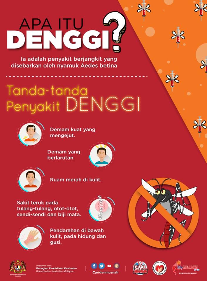 Denggi Tanda tanda Penyakit Denggi